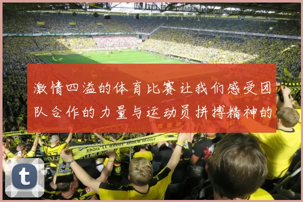 激情四溢的体育比赛让我们感受团队合作的力量与运动员拼搏精神的魅力