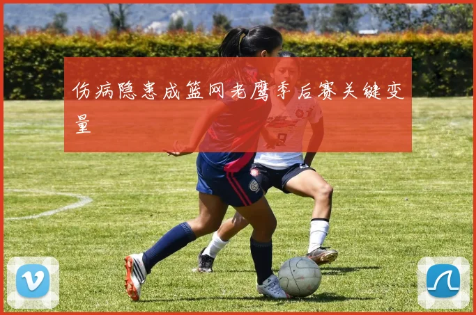 伤病隐患成篮网老鹰季后赛关键变量