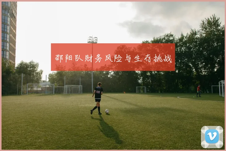 邵阳队财务风险与生存挑战