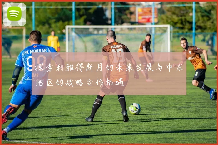 探索利雅得新月的未来发展与中东地区的战略合作机遇