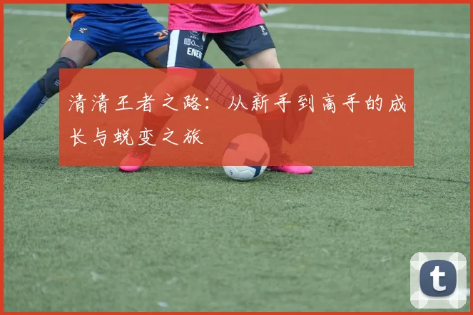 清清王者之路：从新手到高手的成长与蜕变之旅