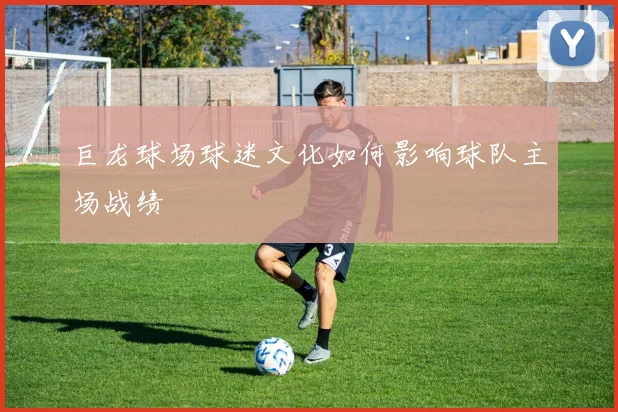 巨龙球场球迷文化如何影响球队主场战绩
