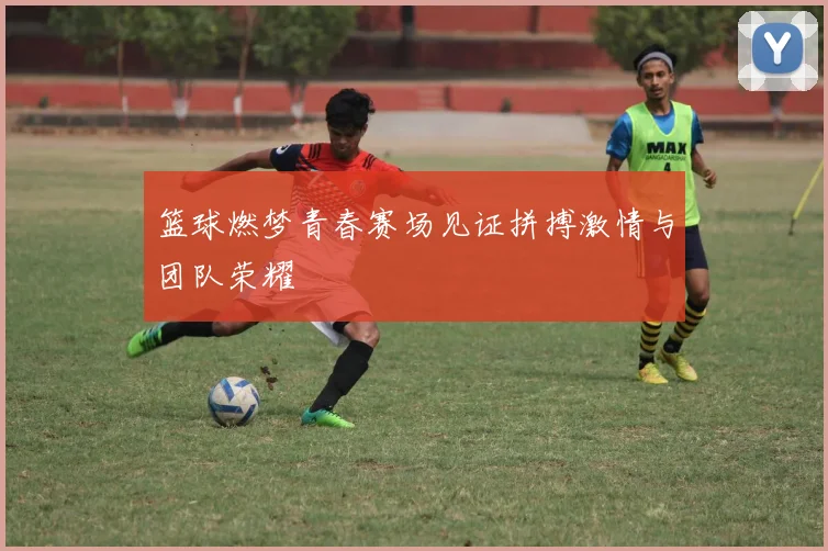 篮球燃梦青春赛场见证拼搏激情与团队荣耀