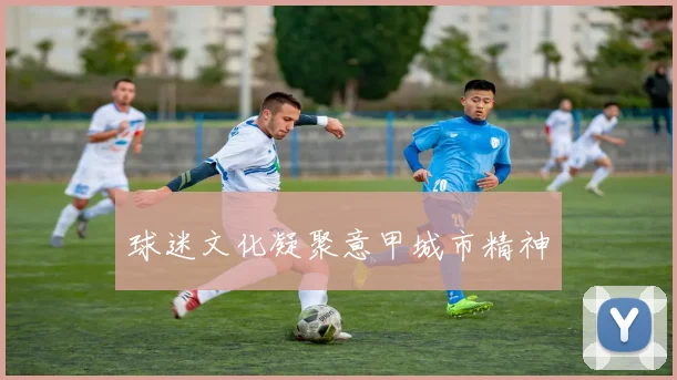 球迷文化凝聚意甲城市精神