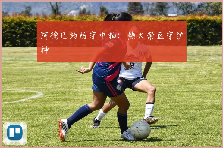 阿德巴约防守中轴：热火禁区守护神